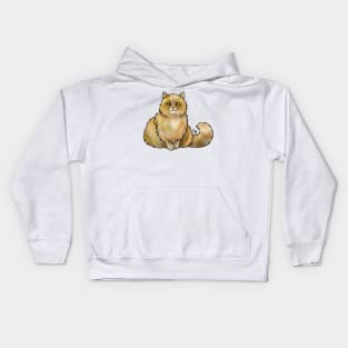 Cat - British Longhair - Marmalade Kids Hoodie